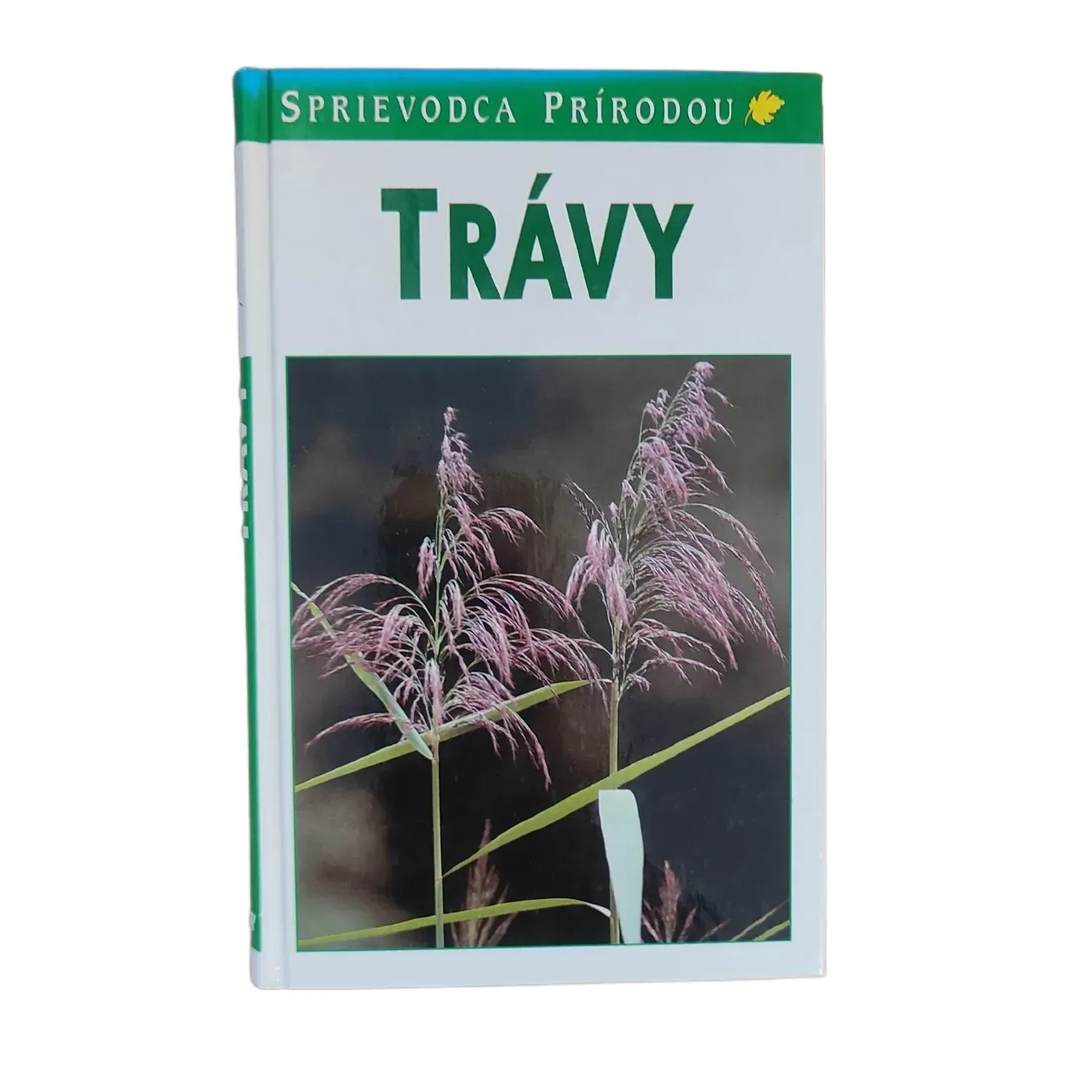 Trávy - Jürke Grau