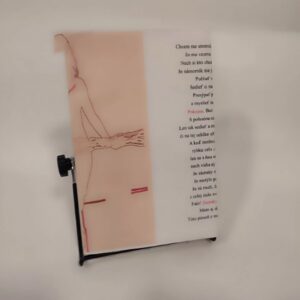 Len tak z ľahka - Bibiana Ondrejková + grafika (Veroniky Lučeničovej Gabčovej)