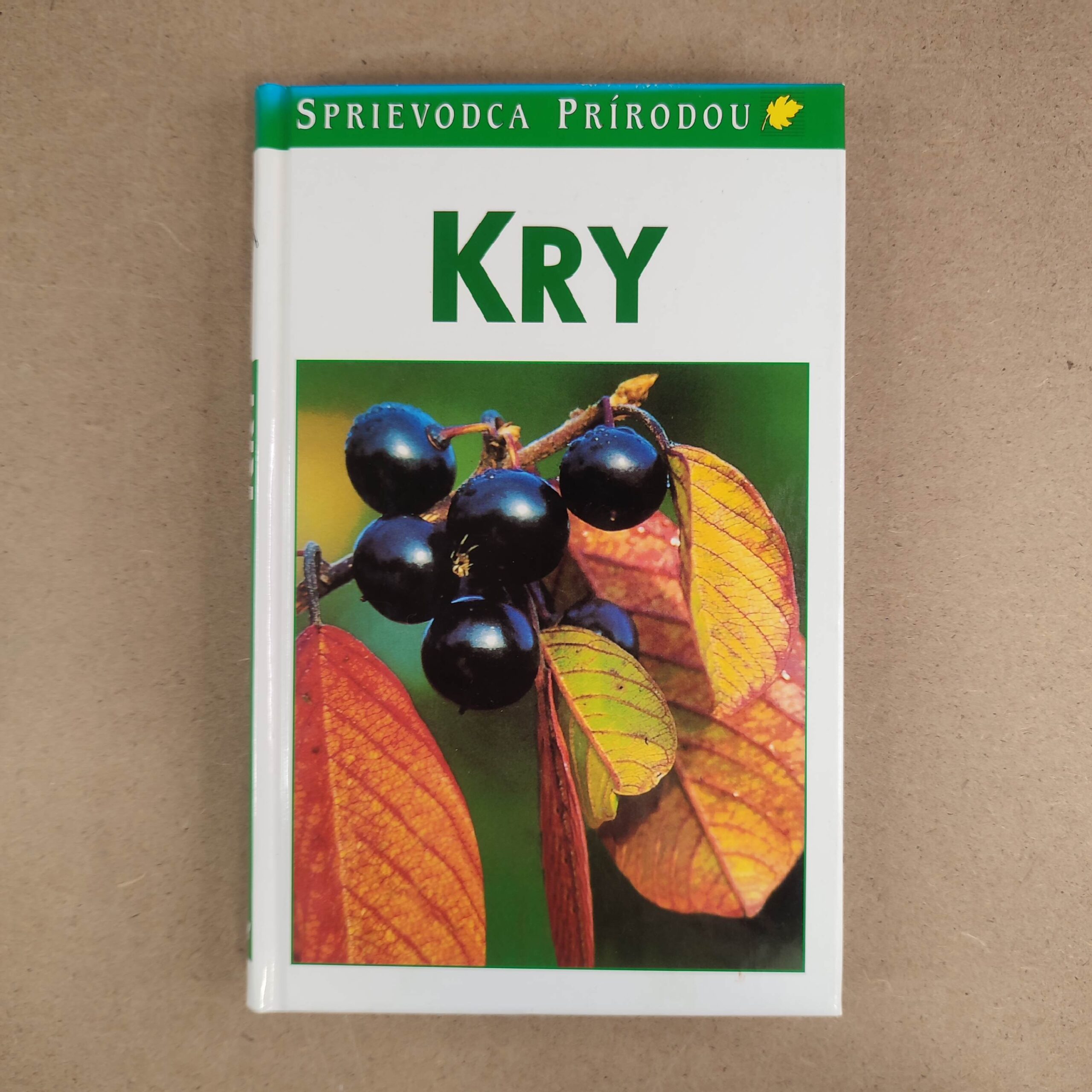 Kry - Markus Bollinger , Jürke Grau , Günther Heubl , Matthias Erben