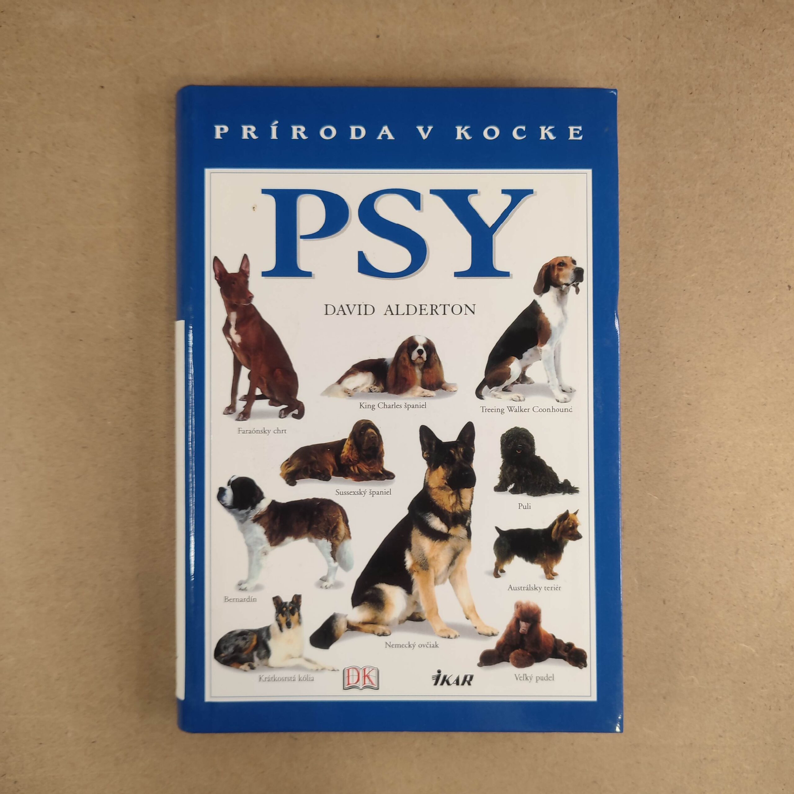 Psy - David Alderton