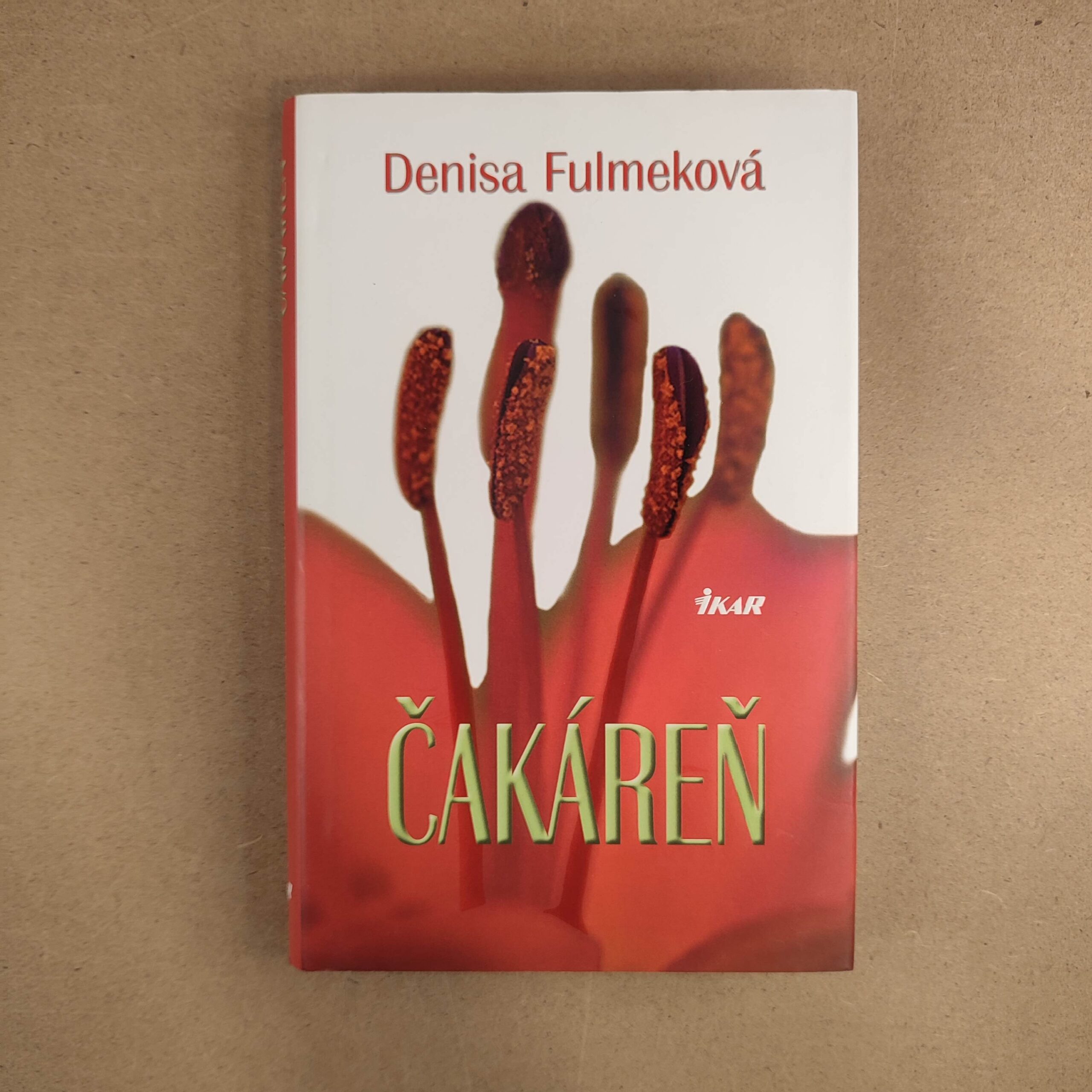 Čakáreň - Denisa Fulmeková