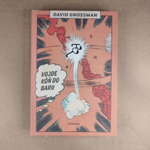 Vôjde kôň do baru - David Grossman