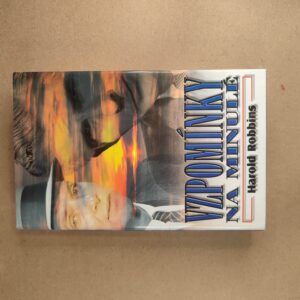 Vzpomínky na minulé - Harold Robins