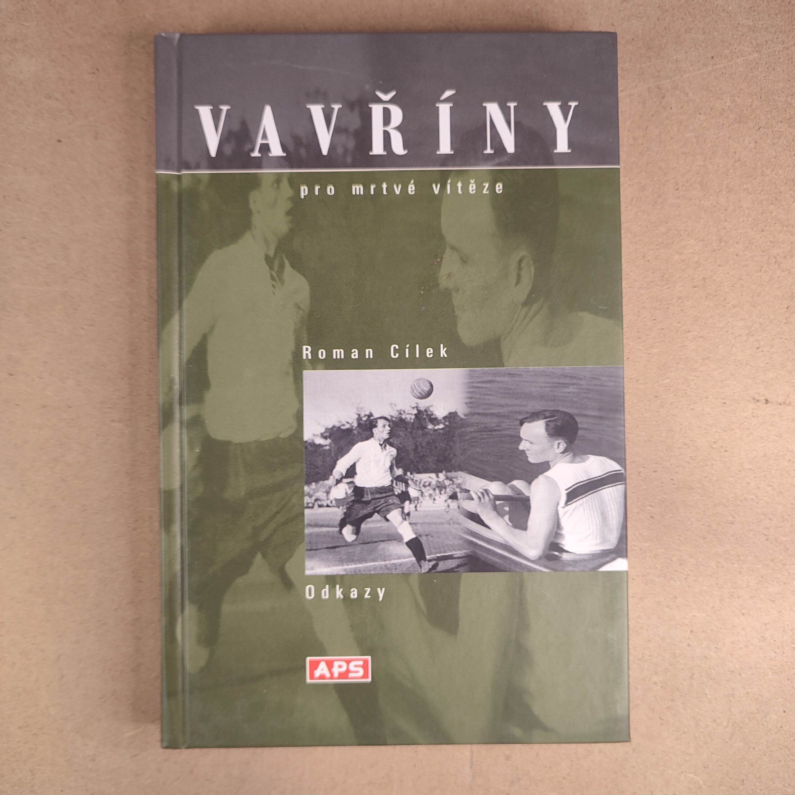 Vavříny pro mrtvé vítěze - Roman Cílek