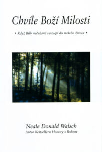 Chvíle Boží milosti - Neale Donald Walsch