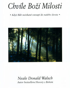 Chvíle Boží milosti - Neale Donald Walsch