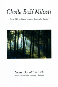 Chvíle Boží milosti - Neale Donald Walsch