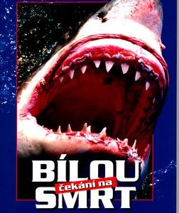 Čekání na bílou smrt - Steve Loveček Lichtag