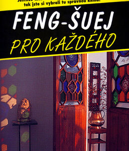 Feng-Šuej pro každého - Daniel David Kennedy