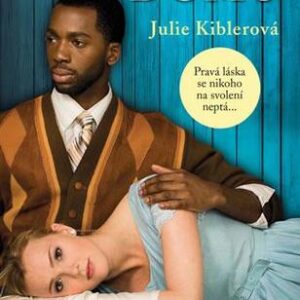 Odveď mě domů - Julie Kibler