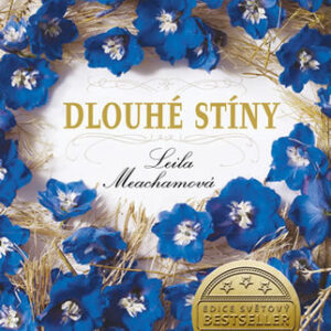 Dlouhé stíny - Leila Meacham
