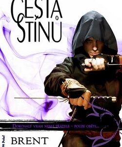 Cesta stínů - Noční anděl 1 - Brent Weeks