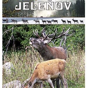 Pieseň jeleňov - Ivan Kňaze