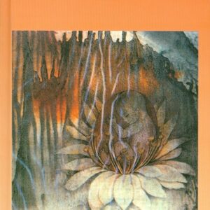 Svet, ktorý nepoznám - Daniela Příhodová