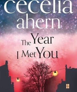 Year I Met You - Cecelia Ahern