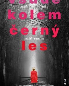 Všude kolem černý les - Ruth Wareová