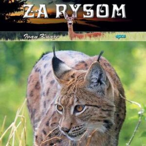 Posliedky za rysom - Ivan Kňaze