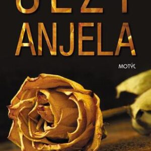 Slzy anjela - Darina Hamarová