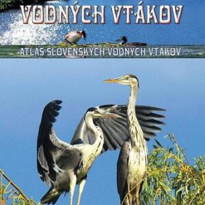 Svadobné tance vodných vtákov - Ivan Kňaze