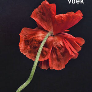 Vděk - Delphine de Vigan