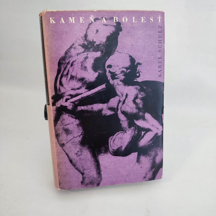 Kameň a bolesť - Karel Schulz
