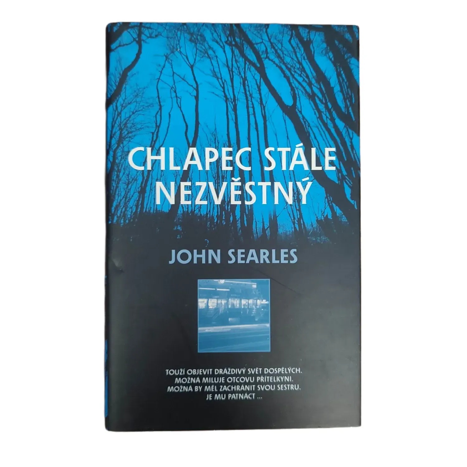 Chlapec stále nezvěstný - Searles John