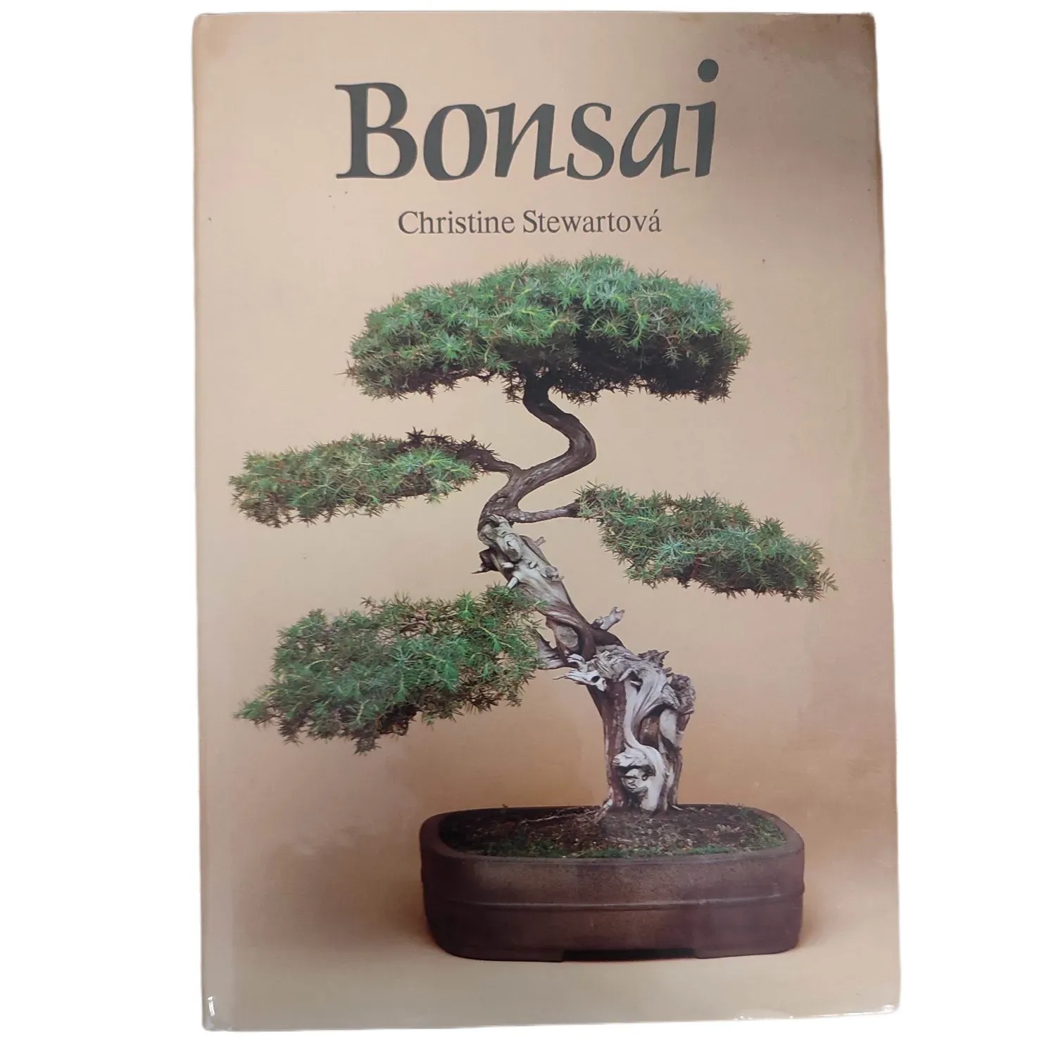 Bonsai - Christine Stewart