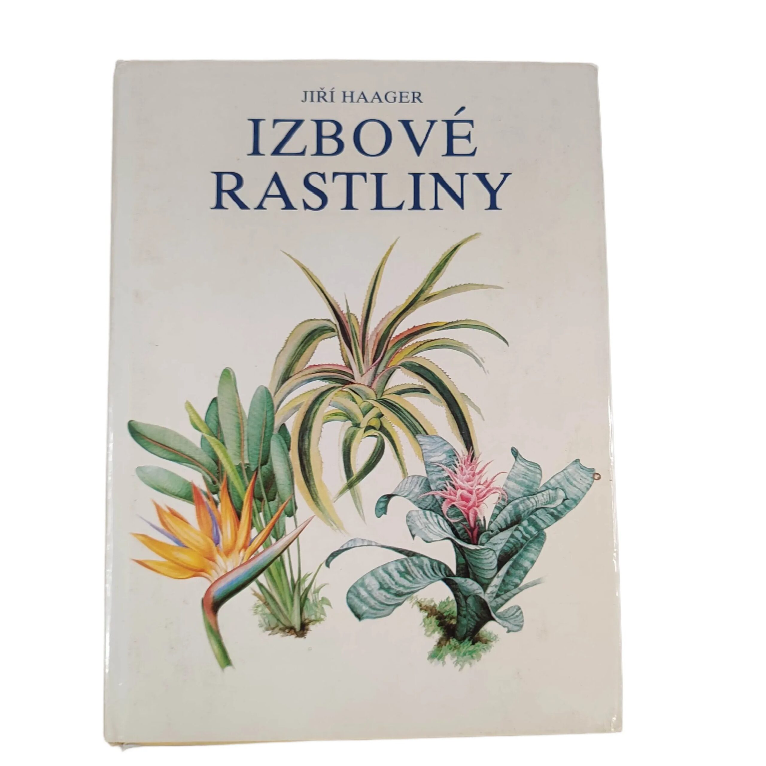 Izbové rastliny - Jiří R. Haager