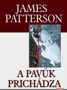 A pavúk prichádza - James Patterson