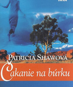 Čakanie na búrku - Patricia Shaw