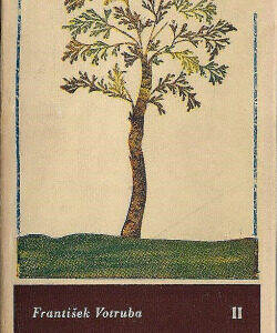 Literárne štúdie II. - František Votruba