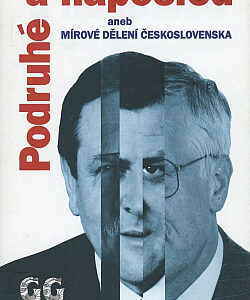 Podruhé a naposled aneb Mírové dělení Československa - Karol Wolf