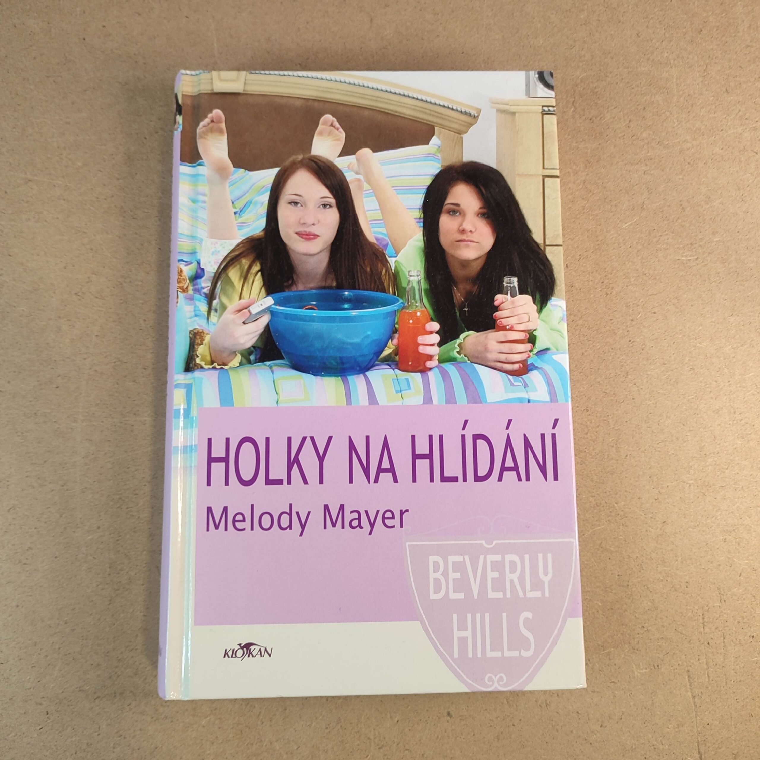 Holky na hlídaní - Melody Mayer