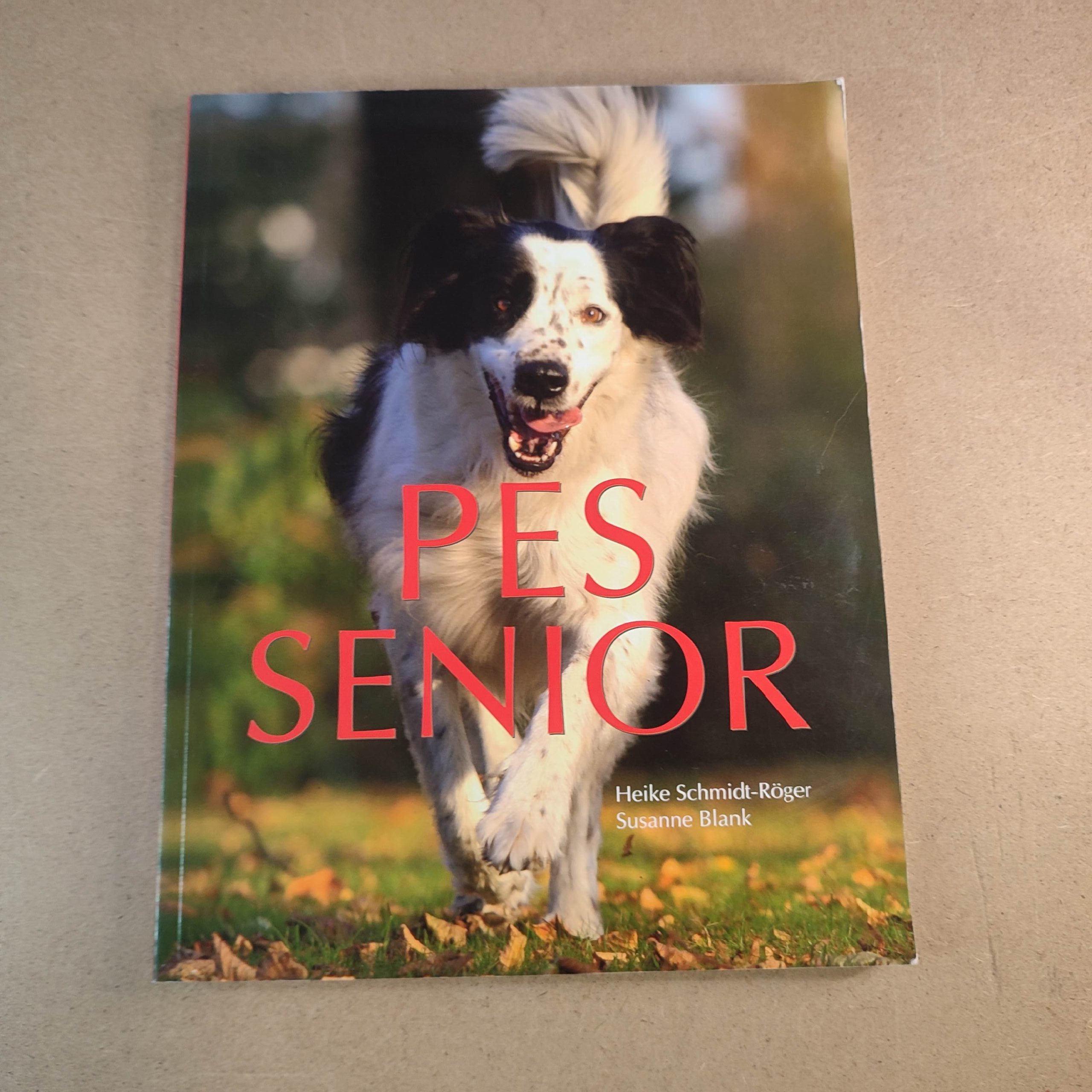 Pes senior - Kolektív