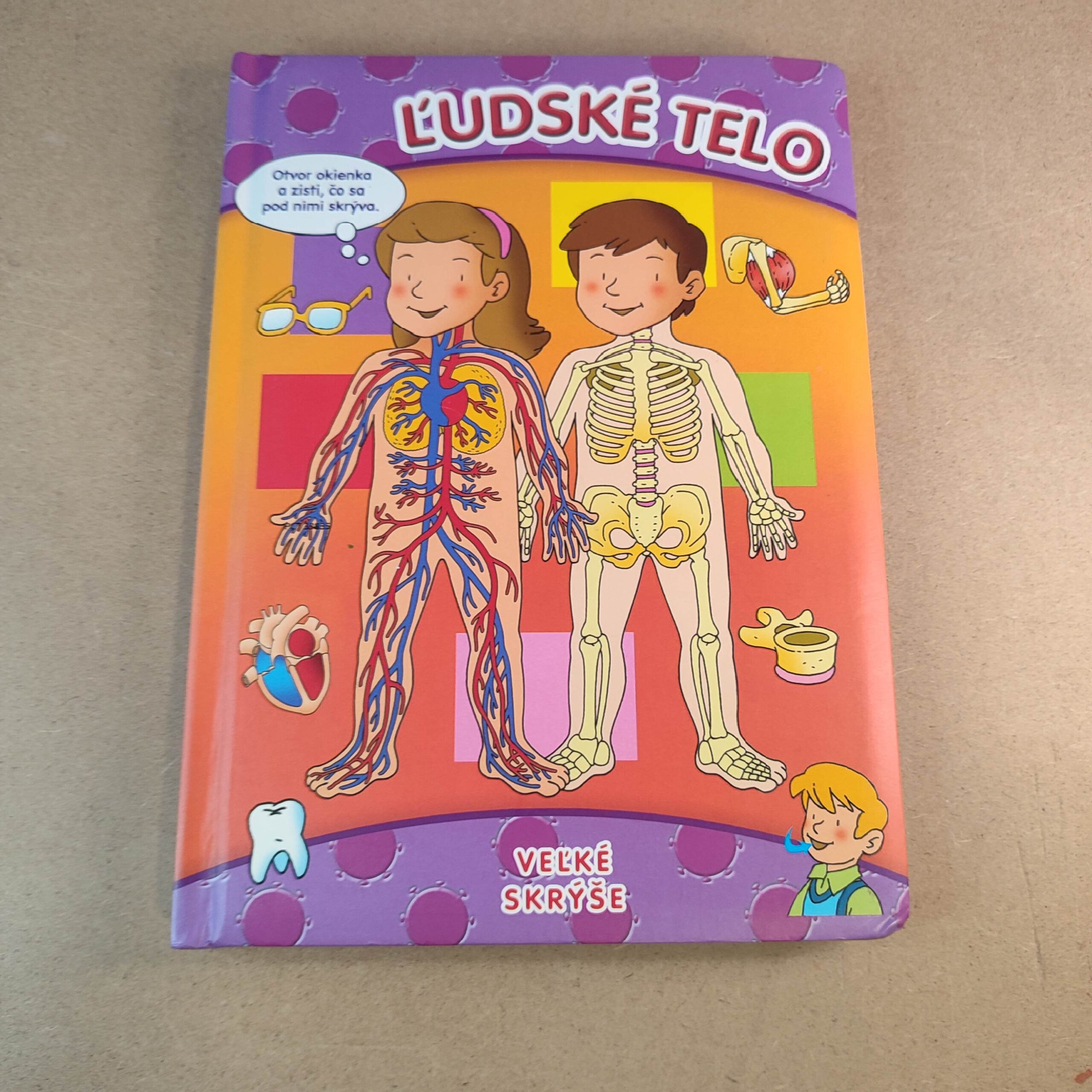 Ľudské telo - Kolektív