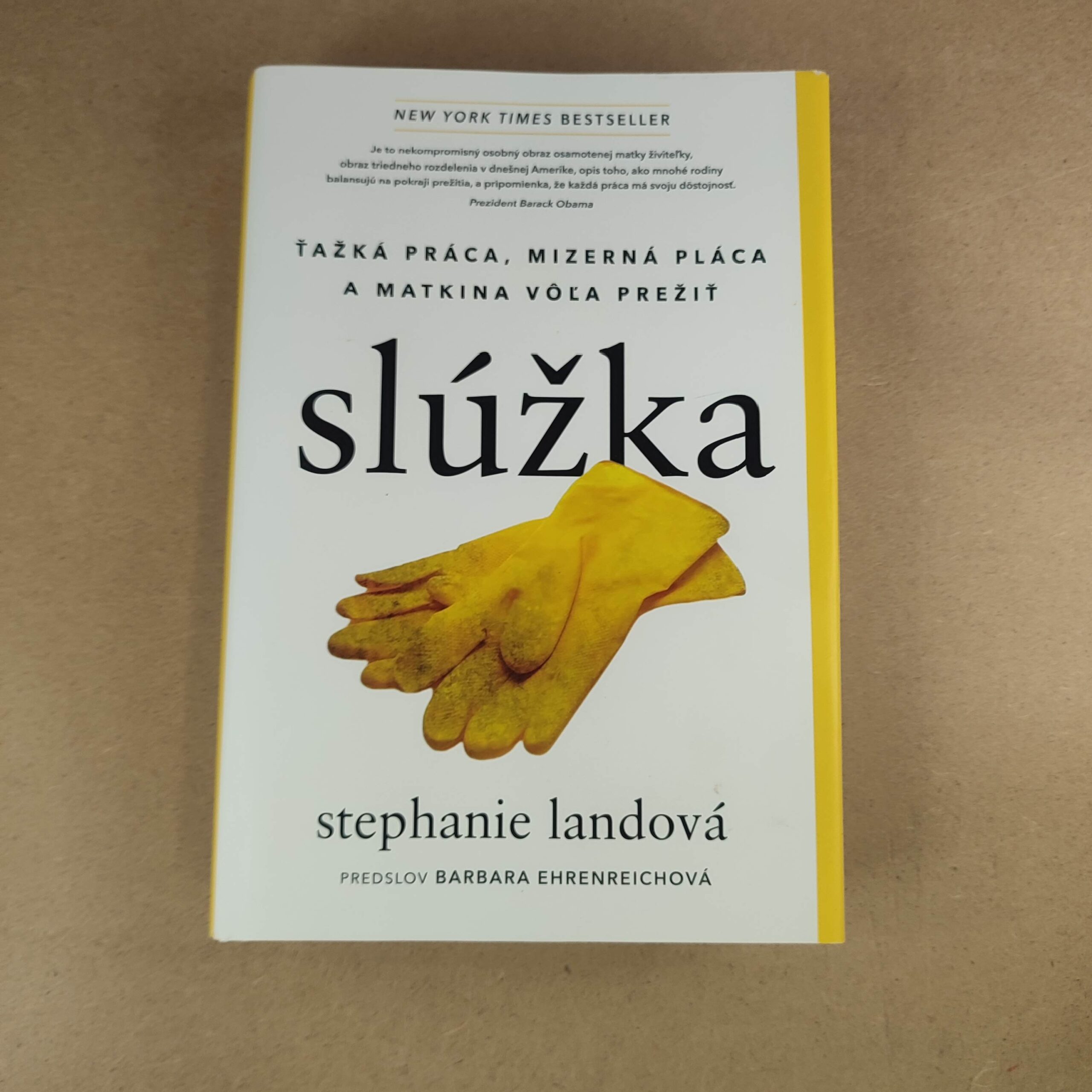 Slúžka - Stephanie Landová