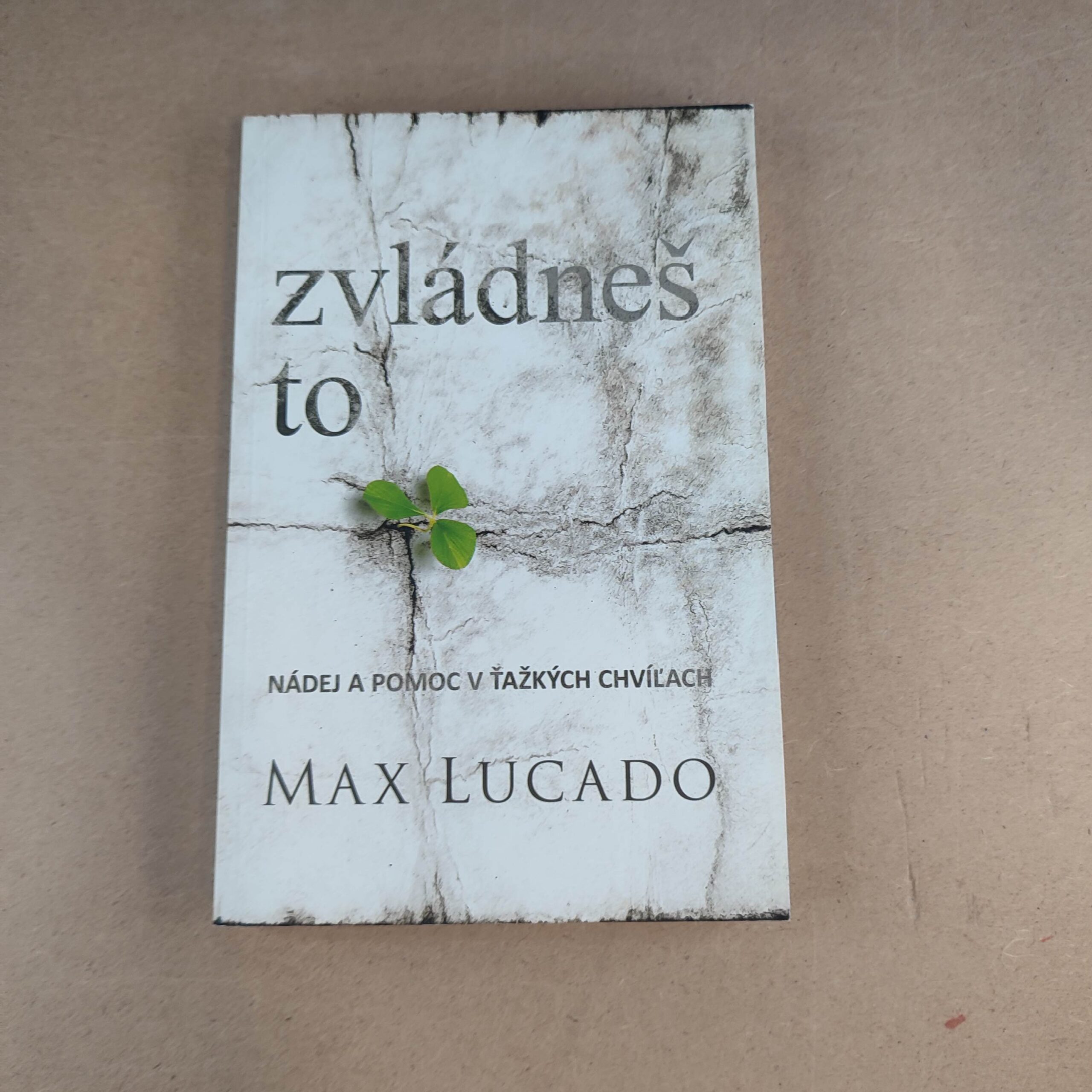 Zvládneš to - Max Lucado